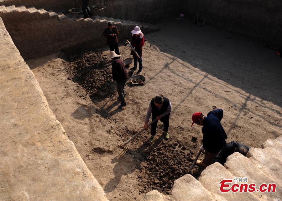 Archaeologists work at a site in Lujiang county, East China’s Anhui province. Cultural relics including ancient steamers, and animal bones were unearthed from archaeological sites along a trans-provincial water diversion project in Anhui province. (Photo: China News Service/Li Feng)
