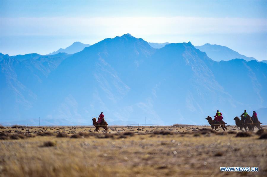 <?php echo strip_tags(addslashes(Participants take part in a race during an international camel cultural festival held in Wulatehou Banner, Bayan Nur of north China's Inner Mongolia Autonomous Region, Dec. 1, 2018. The three-day festival opened here on Saturday. (Xinhua/Yu Dongsheng))) ?>