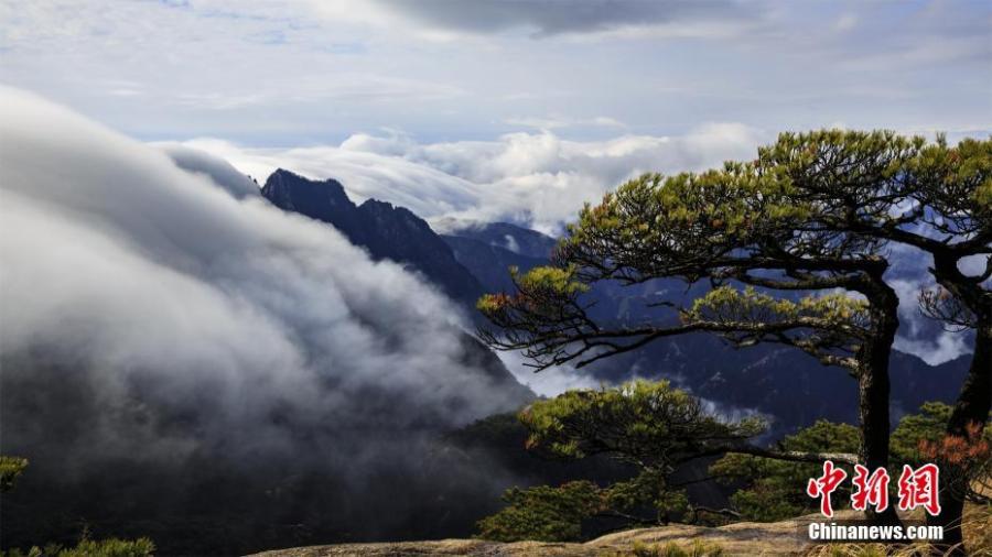 Photo taken on December 5, 2018 shows the sea of clouds at the Huangshan Mountain scenic spot in Huangshan City, east China\'s Anhui Province. (Photo: China News Service/Ye Yongqing)