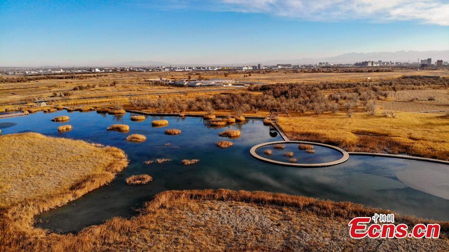 Located at the foot of the Qilian Mountains, the Zhangye National Wetland Park in Gansu Province looks beautiful in winter. (Photo/China News Service)