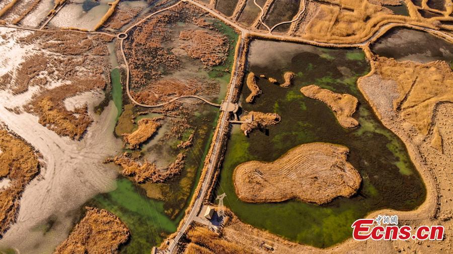 Located at the foot of the Qilian Mountains, the Zhangye National Wetland Park in Gansu Province looks beautiful in winter. (Photo/China News Service)