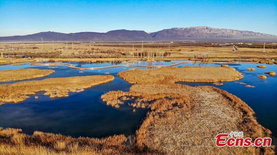 Located at the foot of the Qilian Mountains, the Zhangye National Wetland Park in Gansu Province looks beautiful in winter. (Photo/China News Service)
