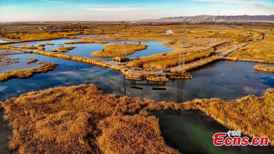 Located at the foot of the Qilian Mountains, the Zhangye National Wetland Park in Gansu Province looks beautiful in winter. (Photo/China News Service)
