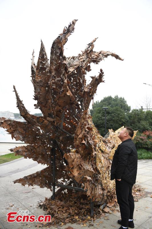 A man enjoys a foliage artwork at the West Lake in Hangzhou, Zhejiang Province, Dec. 12, 2108.Hosted by China Academy of Art, the Foliage Artwork Festival attracted many visitors. (Photo: China News Service/Wang Gang)