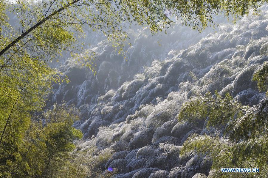 Photo taken on Dec. 13, 2018 shows the bamboo forest after a snowfall at Foziling Township of Huoshan County in the Dabieshan Mountain region, east China\'s Anhui Province. (Xinhua/Xu Cheng)