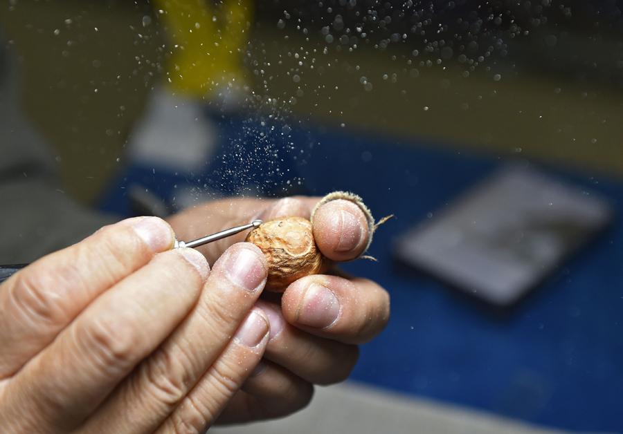Han Zhiyao creates a nut carving work at his studio in Dalian, Liaoning Province, on Dec. 12.
