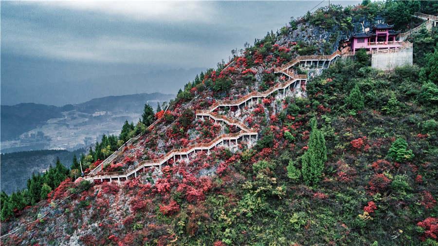 The observation footpath zig-zags as it climbs Wushan Mountain. (Photo provided to chinadaily.com.cn)

To promote its tourism resources, the local tourism development committee held a tourism event with travel website lotour.com, which invited seven tourism experts to explore Wushan Mountain in depth. The experts live-streamed and shared the beautiful scenery on their journey, attracting netizens\' attention.