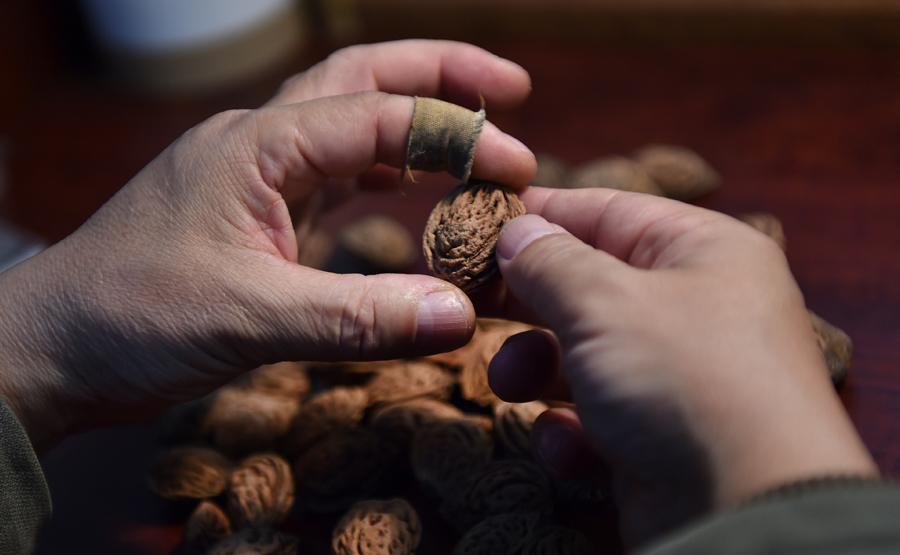 Han Zhiyao selects the best nuts at his studio in Dalian, Liaoning Province, on Dec. 12.