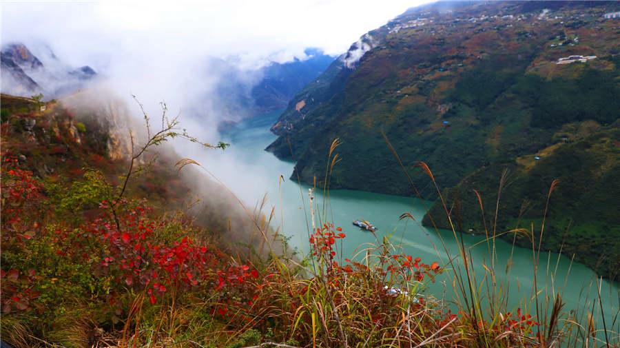 The bold color of red leaves punctuates the beauty of the scenery at Wushan Mountain.  (Photo provided to chinadaily.com.cn)