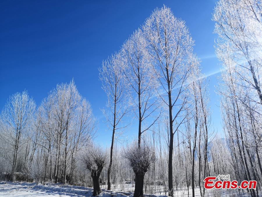 <?php echo strip_tags(addslashes(The rime scenery along the Yarlung Zangbo River after the first big snow this winter hit Southwest China's Tibet Autonomous Region. (Photo: China News Service/Zhao Lang))) ?>