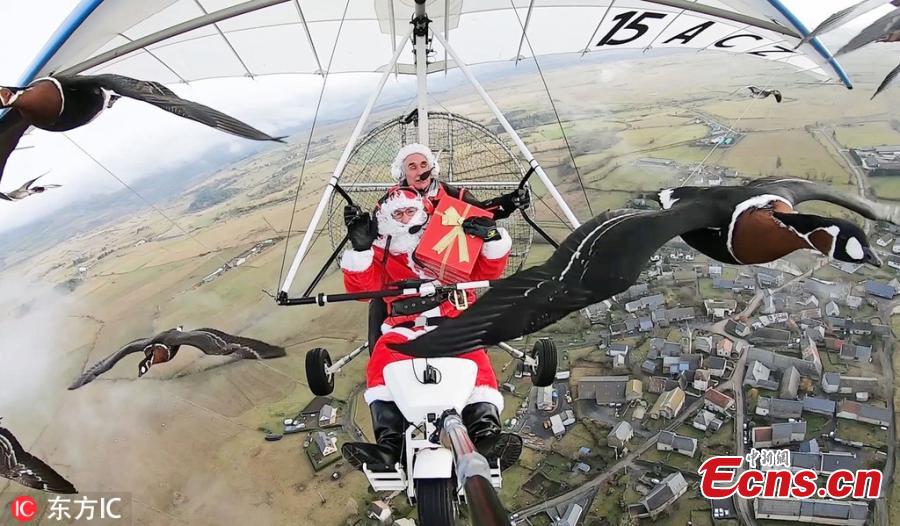 French pilot Christian Moullec, who has been flying with his geese in his craft for years, took friend Jacky Herbert, dressed as Santa, for a fun festive feat through the skies near Saint-Flour Airfield, Massif Central, France. They were 14 geese who travel alongside them during the journey. (Photo/IC)