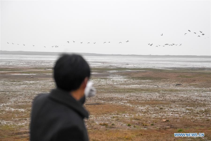 Wang Sanyi patrols for migrant-bird protection in Caizi Lake wetland, Anqing, in east China\'s Anhui Province, Dec. 22, 2018. Wang Sanyi, 69, founded the Caizi Lake wetland ecological protection association with more than 300 members in 2010. Some villagers who used to be hunters now join the association, becoming volunteers to protect migrant birds. With the help of the association, the ecological environment of Caizi Lake wetland has been improved in recent years. Thanks to the efforts of protection, more and more migrant birds are seen here overwintering. \