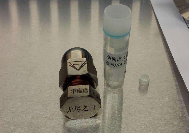 The container for holding the dry powder of DNA of a South China tiger.（Photo provided to chinadaily.com.cn）
It helps prevent the risk of losing such resources and may provide the last defense of original gene data of species on earth, protecting it from human influence.

The South China tiger used to inhabit eastern, central and southern China, and stands out as a tiger species unique to China. Living South China tigers are currently seen only in zoos.

The transport this time was arranged in partnership with Endless Door, an aerospace technology company in Shenzhen, Guangdong province, which has jointly developed containers for the dried DNA powder together with China Academy of Launch Vehicle Technology.

The container is designed to safeguard against space radiation and sudden high temperatures.

Previous research has proven successful storage of human and animal gene samples can be achieved in orbit.