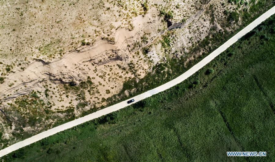 A car runs on a road that divides desert and desert under control in the Hengshan District of Yulin City, northwest China\'s Shaanxi Province, Aug. 4, 2018. China has seen reduced desertification and increased forest coverage since 1978, thanks to the Three-North Afforestation Program (TNAP), said a report released on Dec. 24, 2018. Constructed in the northeast, north and northwest China, TNAP is a national program fighting against soil erosion and wind-sand damage by planting sand-fixing forests. The area of sand-fixing forests has increased by 154 percent in the past 40 years, contributing to the reduction of desertification by around 15 percent, according to a report jointly released by the National Forestry and Grassland Administration (NFGA) and the Chinese Academy of Sciences. Over the past 40 years, TNAP increased the forest area by 30.14 million hectares and raised the forest coverage rate from 5.05 percent to 13.57 percent in the regions it covers, said Liu Dongsheng, deputy head of the NFGA. (Xinhua/Tao Ming)