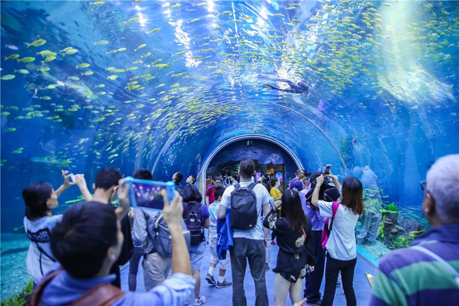The Shanghai Haichang Ocean Park features five theme zones, three animal theaters, two high-tech cinemas and an ocean-themed resort hotel. (Photo provided to chinadaily.com.cn)