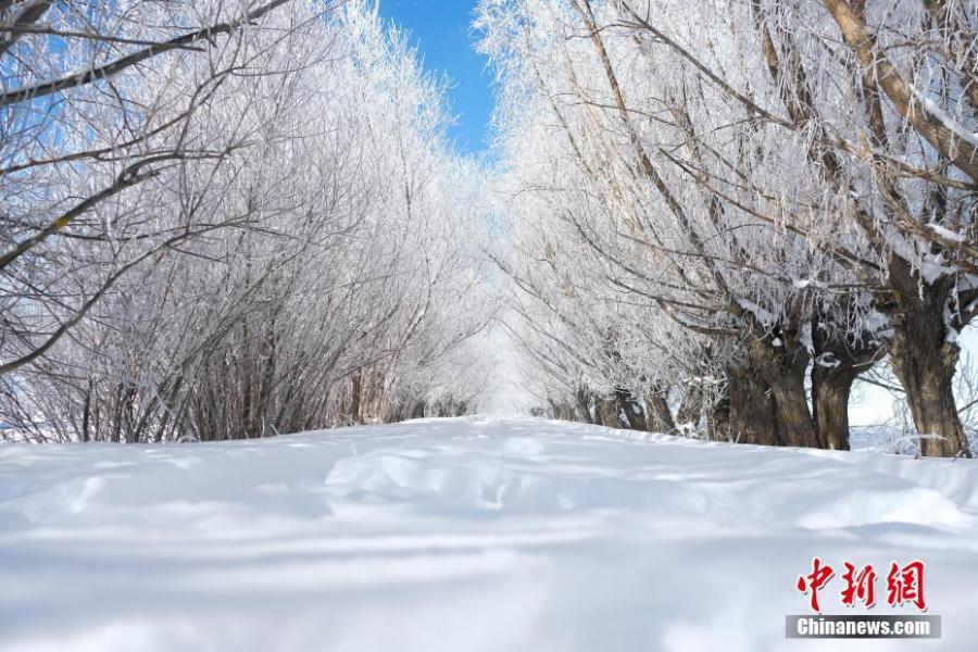 Photo shows the breathtaking winter scenery of Tibet. (Photo: China News Service/He Penglei)