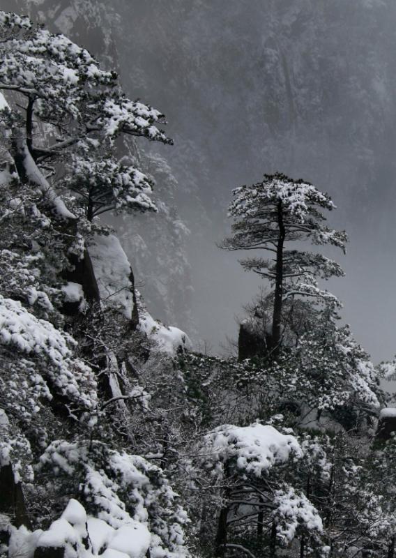 Huangshan Mountain scenic area in Anhui province is shrouded in a mantle of white after a snowfall, Jan. 1, 2019. Clouds and misty air envelop the towering mountain peaks, creating a breathtakingly beautiful scene. (Photo/Asianewsphoto)