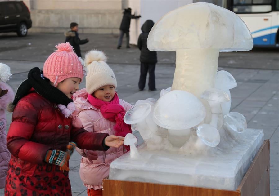 Children watch an ice sculpture in Pyongyang, the Democratic People\'s Republic of Korea, Jan. 1, 2019. (Xinhua/Jiang Yaping)