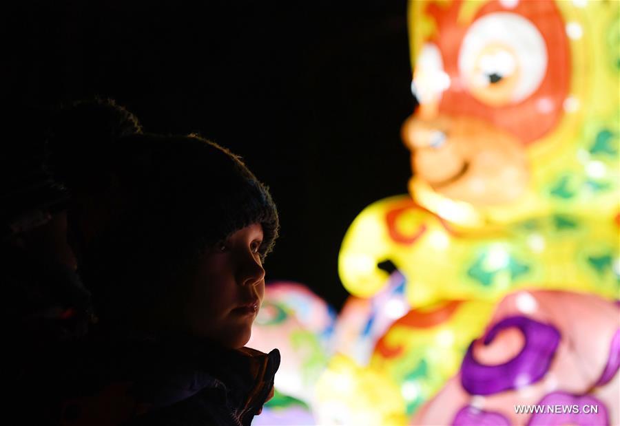 A child visits China Light Festival at Cologne Zoo in Cologne, Germany, on Jan. 3, 2019. The festival is held here presenting more than 50 lights from Dec. 8, 2018 to Jan. 20, 2019. (Xinhua/Lu Yang)