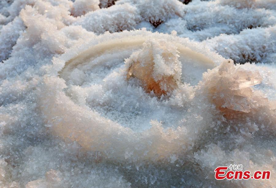 A view of the scenery of mirabilite rime on the Salt Lake in Yuncheng City, North China\'s Shanxi Province, Jan. 2, 2019. Mirabilite rime is formed when mirabilite crystalizes at low temperatures in the inland saltwater lake, formed about 500 million years ago and known as “China’s Dead Sea.” (Photo: China News Service/Jiang Hua)