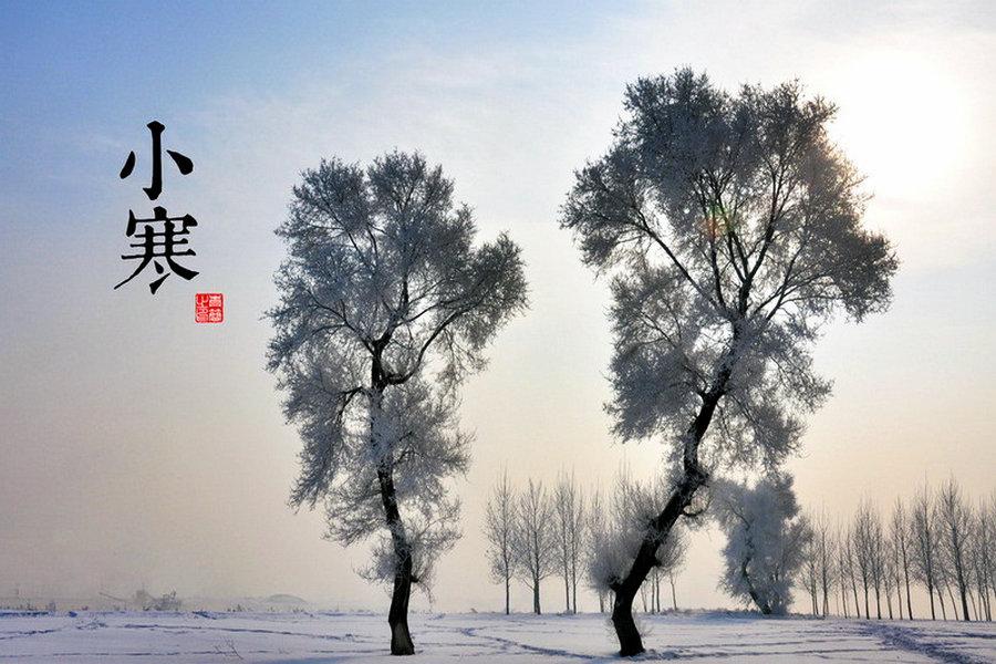 A shot of trees covered by snow. (Photo/china.com.cn)

Minor Cold is the 23rd solar term of the 24 traditional Chinese solar terms. For most areas of China, it marks the start of the coldest days of the year. This year\'s Minor Cold starts on Jan 5. Many Chinese sayings use the weather and climate situation during Minor Cold to predict the weather in the following spring.

Still, bitter cold can\'t prevent people from enjoying their lives. Here are some things that help us stay warm during Minor Cold.