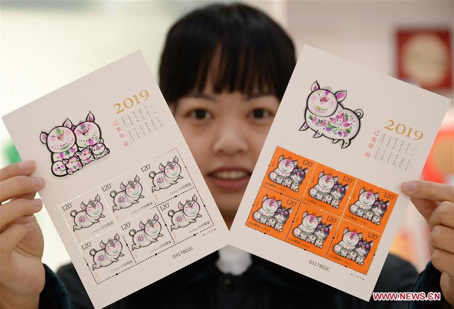 A staff member presents special zodiac stamps for the lunar year of the Pig in Handan, north China\'s Hebei Province, Jan. 5, 2019. China Post on Saturday issued a set of special zodiac stamps in honor of 2019 Chinese Lunar New Year, or the Year of the Pig. The Year of the Pig starts from Feb. 5, 2019. (Xinhua/Hao Qunying)