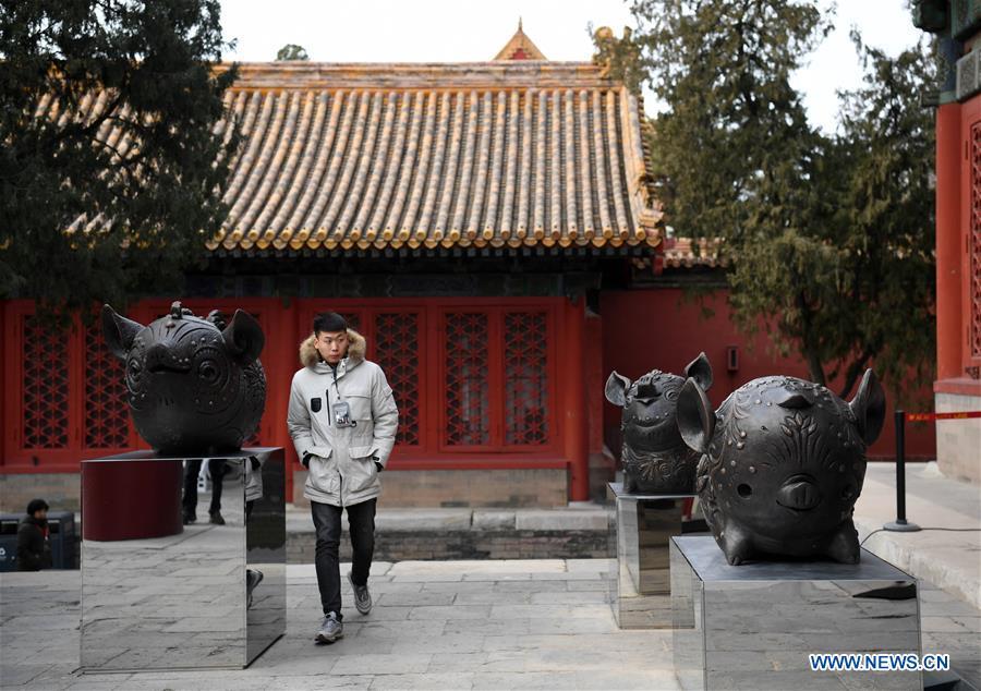 A visitor views Han Meilin\'s Chinese Zodiac Art Exhibition in Beijing, capital of China, Jan. 5, 2019. The Chinese Zodiac Art Exhibition, displaying the fine arts of Chinese artist Han Meilin, kicked off in the Palace Museum on Saturday and will last until Feb. 20, 2019. (Xinhua/Jin Liangkuai)