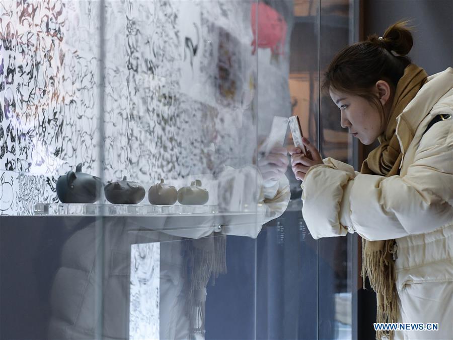 A visitor views Han Meilin\'s Chinese Zodiac Art Exhibition in Beijing, capital of China, Jan. 5, 2019. The Chinese Zodiac Art Exhibition, displaying the fine arts of Chinese artist Han Meilin, kicked off in the Palace Museum on Saturday and will last until Feb. 20, 2019. (Xinhua/Li He)