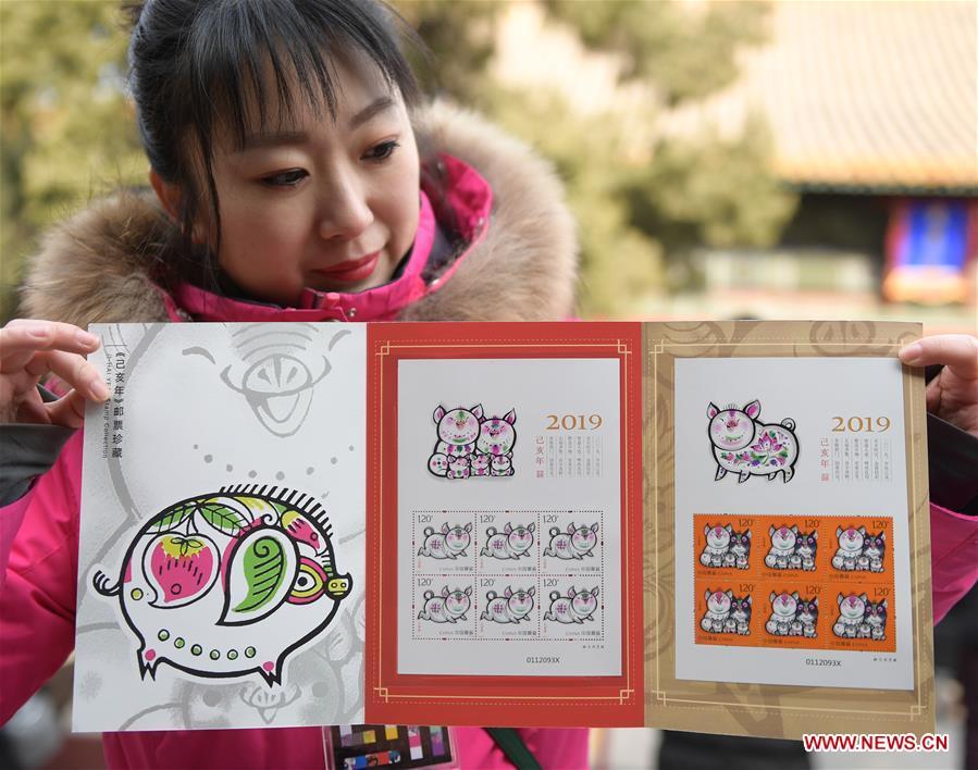 A staff member presents a set of special zodiac stamps for the lunar year of the Pig in Beijing, capital of China, Jan. 5, 2019. China Post on Saturday issued a set of special zodiac stamps in honor of 2019 Chinese Lunar New Year, or the Year of the Pig. The Year of the Pig starts from Feb. 5, 2019. (Xinhua/Li He)