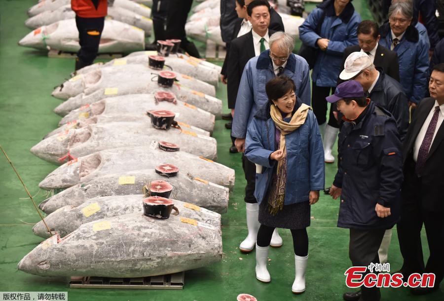 <?php echo strip_tags(addslashes(Wholesalers check the quality of frozen tuna displayed during at the Toyosu fish market's first tuna auction in this year in Tokyo, Japan, Jan. 5, 2019. (Photo/Agencies))) ?>