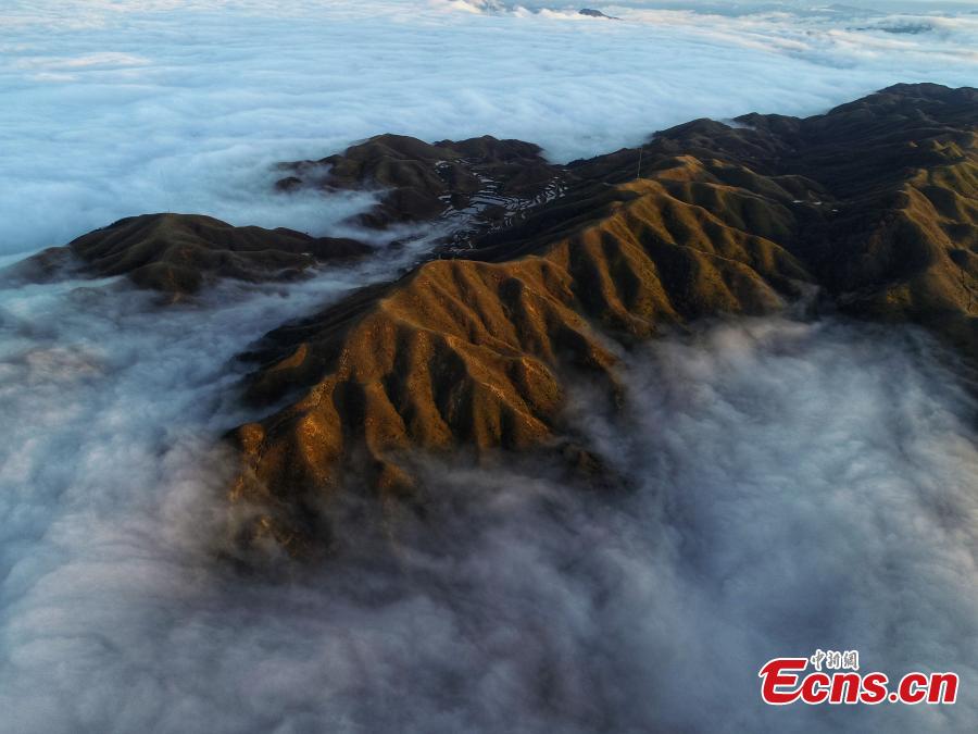 <?php echo strip_tags(addslashes(A sea of clouds surrounds Motianling, an approximately 2,000-meter-high peak in Rongshui Miao Autonomous County in Liuzhu City, South China's Guangxi Zhuang Autonomous Region, Jan. 5, 2019. (Photo: China News Service/Wang Yizhao))) ?>
