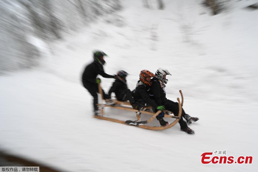 <?php echo strip_tags(addslashes(Participants of the 50th horn sled competition race down the mountain and fall off their sledge in the Bavarian town of Garmisch-Partenkirchen, Germany, Jan. 6, 2019. (Photo/Agencies))) ?>