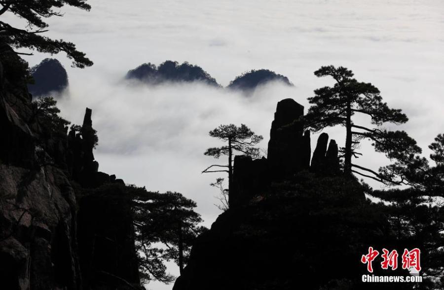 A sea of clouds after rain sweeps over Mount Huangshan in Anhui Province on Jan. 6, 2018. A UNESCO World Heritage site, the area is well known for its scenery, sunsets, peculiarly-shaped granite peaks, and pine trees. (Photo: China News Service/Shi Guangde)
