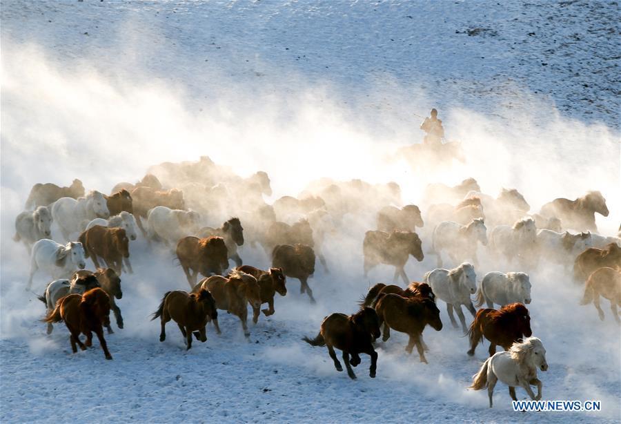 <?php echo strip_tags(addslashes(A herdsman drives horses on the snow-covered grassland in Hexigten Banner of Chifeng City, north China's Inner Mongolia Autonomous Region, Jan. 6, 2019. Inner Mongolia greets a peak tourism season in winter recently. (Xinhua/Yu Dongsheng))) ?>