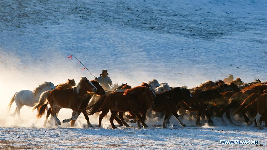 <?php echo strip_tags(addslashes(A herdsman drives horses on the snow-covered grassland in Hexigten Banner of Chifeng City, north China's Inner Mongolia Autonomous Region, Jan. 6, 2019. Inner Mongolia greets a peak tourism season in winter recently. (Xinhua/Yu Dongsheng))) ?>