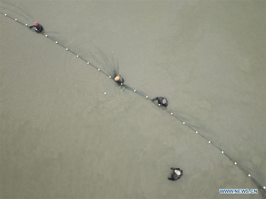 <?php echo strip_tags(addslashes(Aerial photo shows fishermen harvesting fish in Chahe Town of Huai'an, east China's Jiangsu Province, Jan. 6, 2019. (Xinhua/Wan Zhen))) ?>