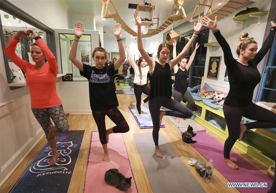 Yoga participants attend a yoga class as cats hang around the El Gato Coffeehouse, a cat cafe in Houston, Texas, the United States, on Jan. 6, 2019. During the Yoga with Cats class, cats walk freely among people\'s mats. Yoga participants said that it was a calm and fun experience with the cats. (Xinhua/Yi-Chin Lee)