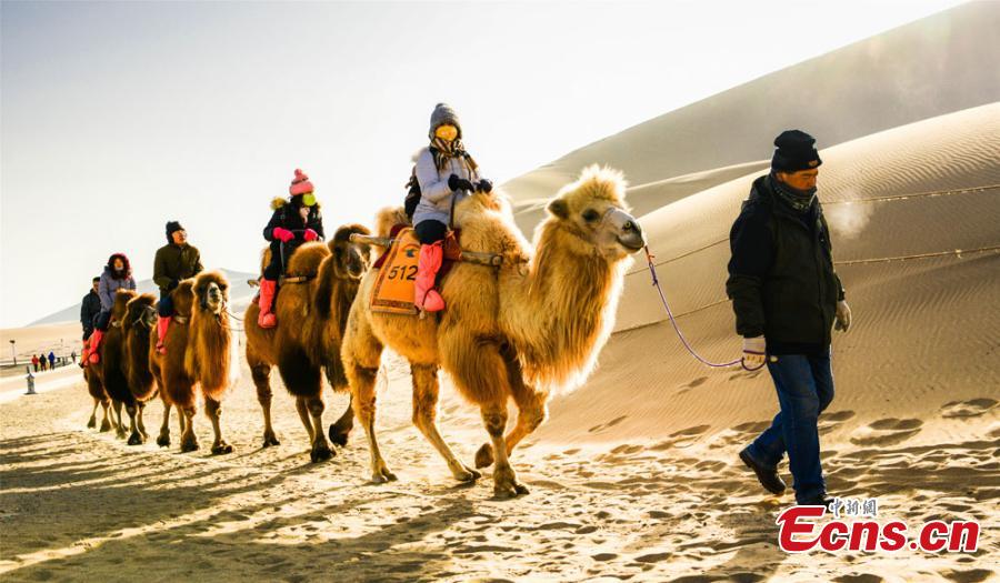 Tourists from across the country brave the cold to visit the Crescent Spring and Singing-Sand Dunes scenic spot in Dunhuang City, Northwest China\'s Gansu Province. Riding a camel across the desert has been popular among tourists. (Photo: China News Service/Wang Binyin)
