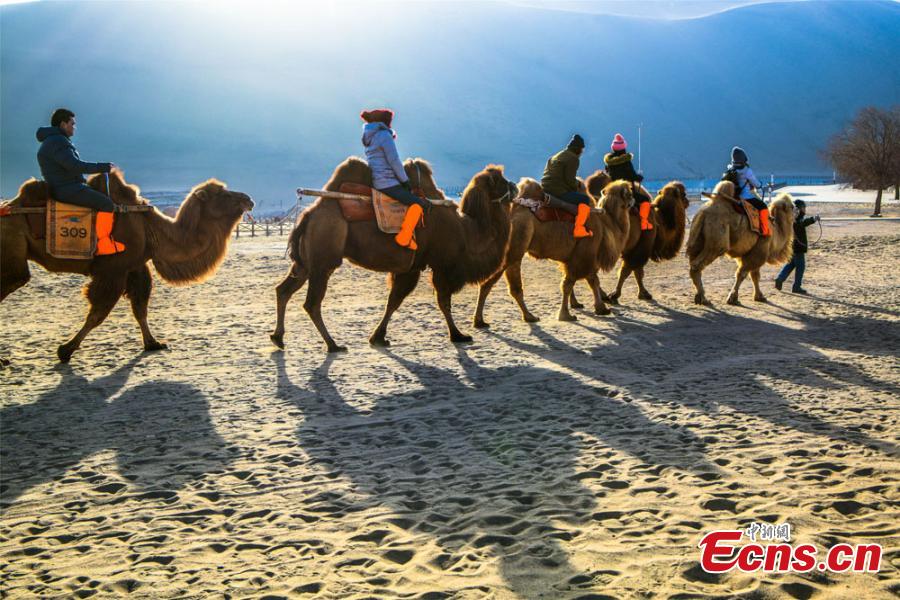 Tourists from across the country brave the cold to visit the Crescent Spring and Singing-Sand Dunes scenic spot in Dunhuang City, Northwest China\'s Gansu Province. Riding a camel across the desert has been popular among tourists. (Photo: China News Service/Wang Binyin)