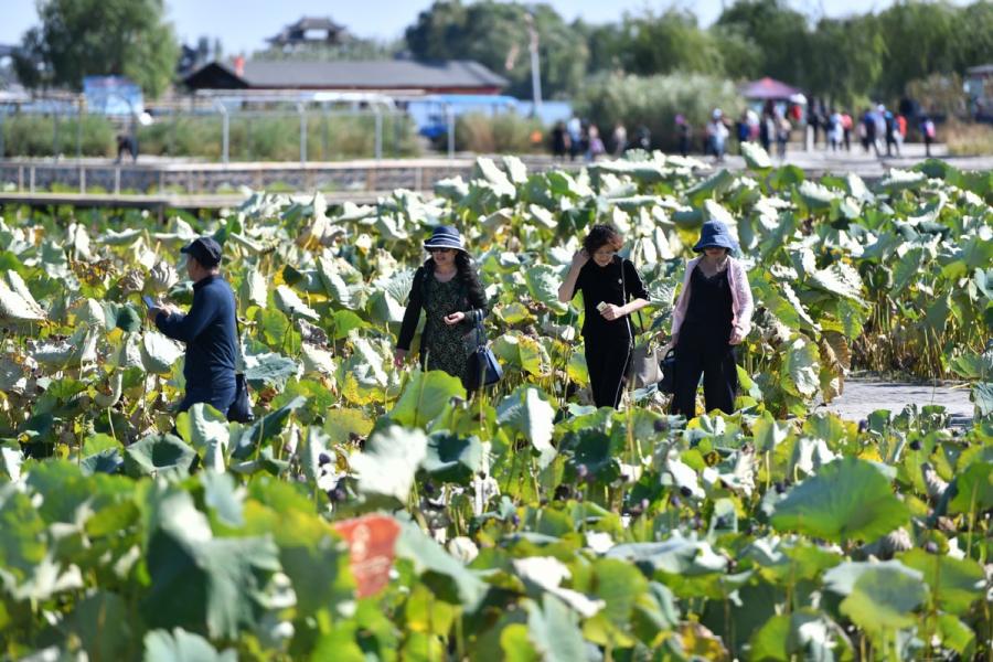 <?php echo strip_tags(addslashes(Tourists visit Baiyangdian Lake in Xiongan New Area, North China's Hebei Province, Oct. 1, 2018. (Photo/Xinhua)

<p>Developing a green, low-carbon city

<p>Xiongan will promote green and low-carbon living, production and city operation modes. It will also build an intensive and efficient water supply system, optimize energy provisions, and develop well-arranged underground facilities.)) ?>