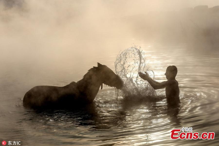 A horse bathing in a thermal spring that is around 40 degrees Celsius in the village of Budakli in Guroymak district, Bitlis, Turkey, Jan. 11, 2019. Despite the freezing cold, villagers bring their horses and water buffalos to thermal springs to wash and care them. (Photo/IC)