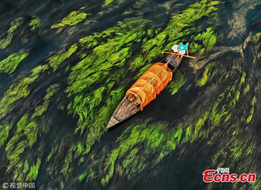 <?php echo strip_tags(addslashes(An aerial photo shows a fishing boat floating down a river in Ullahpara, Bangladesh. The surreal patterns are created thanks to the flowing current and algae in the water. (Photo/VCG))) ?>