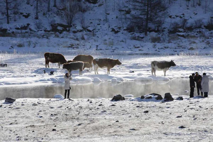 The river called Unfrozen River by the locals in Hinggan League of North China\'s Inner Mongolia autonomous region never freezes even when the temperature reaches minus 15-30 degrees Celsius. (Photo provided to chinadaily.com.cn)