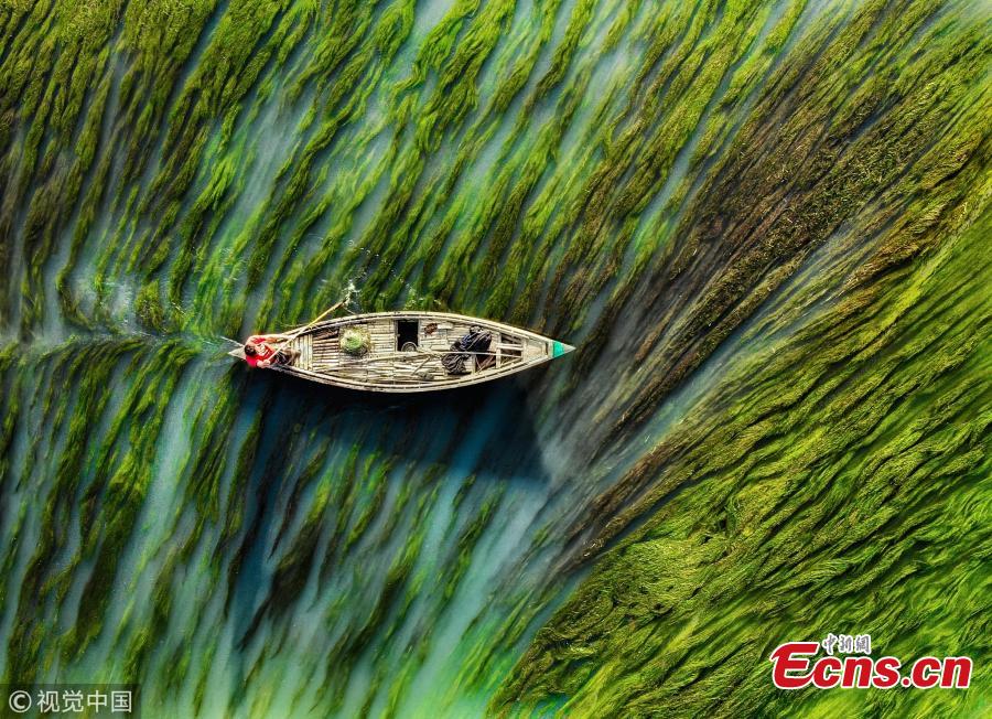 <?php echo strip_tags(addslashes(An aerial photo shows a fishing boat floating down a river in Ullahpara, Bangladesh. The surreal patterns are created thanks to the flowing current and algae in the water. (Photo/VCG))) ?>