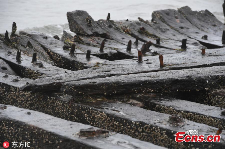 <?php echo strip_tags(addslashes(Photo taken on Jan. 15, 2019 shows the storm of the past few days has exposed an old shipwreck on the coast of the German island of Rügen. During the two storms in January, the beach in front of Glowe lost up to one meter of its height. According to experts, it is supposed to be a merchant ship from the 18th century due to its design. (Photo/IC))) ?>