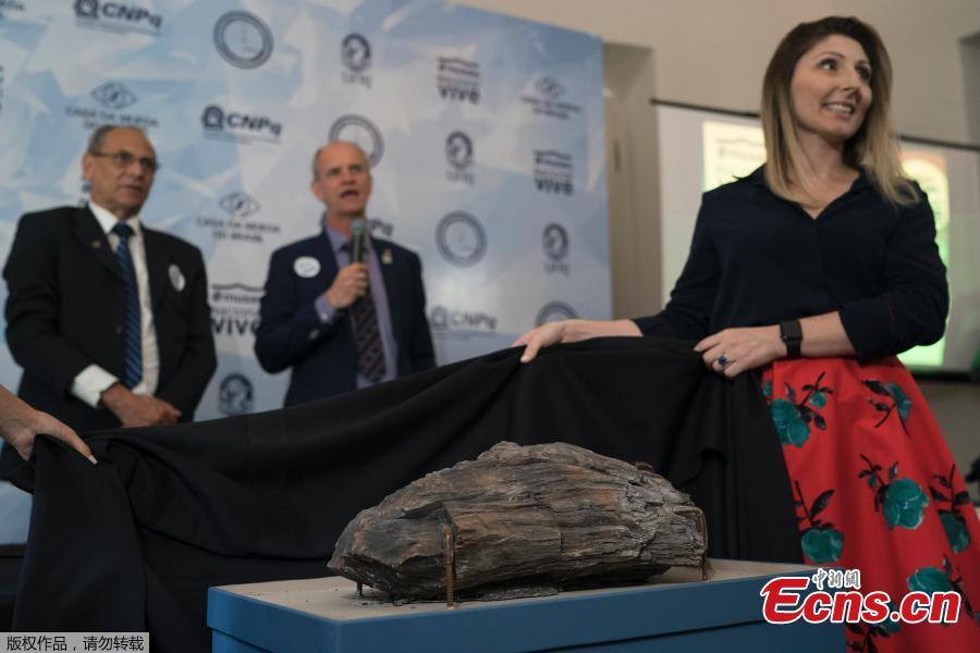 A paleontologist from the National Museum shows a tree trunk fossil, found in Antarctica, that was rescued from the ashes of a massive fire that swept through the museum in September, as Museum Director Alexander Kellner, center, speaks during a media presentation in Rio de Janeiro, Brazil, Jan. 16, 2019. The National Museum will inaugurate on Jan. 17 their first exhibition after the fire, held at the building that houses the Cultural Center and Museum of Brazil’s Mint. (Photo/Agencies)