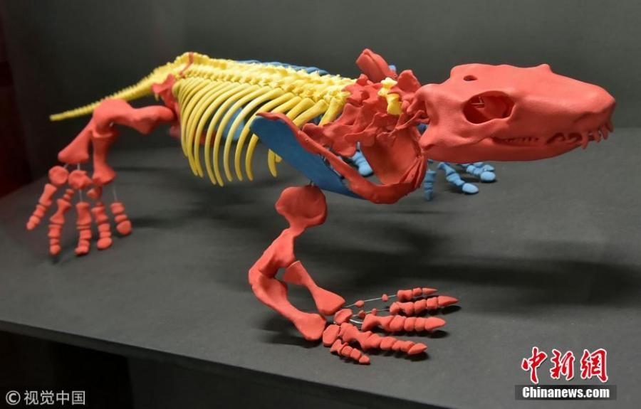 European researchers have animated a prehistoric four-legged creature that lived before the dinosaurs by studying its gait and making a robotic model that can walk the earth just like its prototype 280 million years ago. The robot lizard was created using \