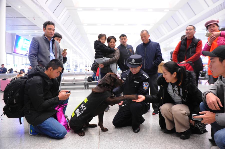 Police dog Hao Ke starts its first service during the Spring Festival travel rush at a railway station in Nanning City, South China’s Guangxi Zhuang Autonomous Region, Jan. 21, 2019. The police dog born on Nov. 27, 2015 has undergone 500 days of training that included searching for explosives. (Photo: China News Service/Jiang Xuelin)