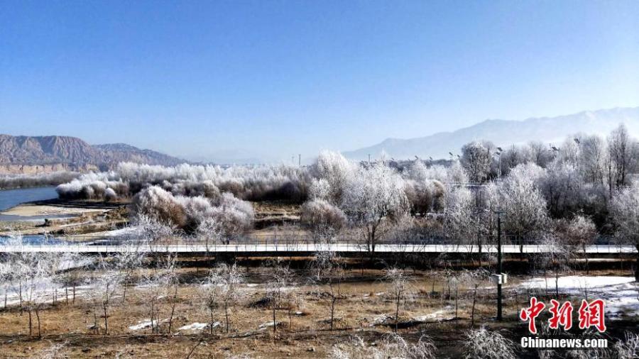 A hoar frost transforms the landscape along the bank of the Yellow River in Guide County, Northwest China\'s Qinghai Province, Jan. 21, 2019. Local temperatures dropped to minus 14.7 degrees. (Photo: China News Service/Wei Tao)