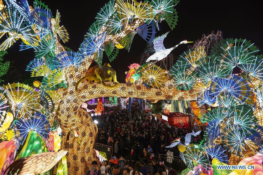 People view lanterns during a lantern festival in Zigong, southwest China\'s Sichuan Province, Jan. 21, 2019. (Xinhua/Jiang Hongjing)